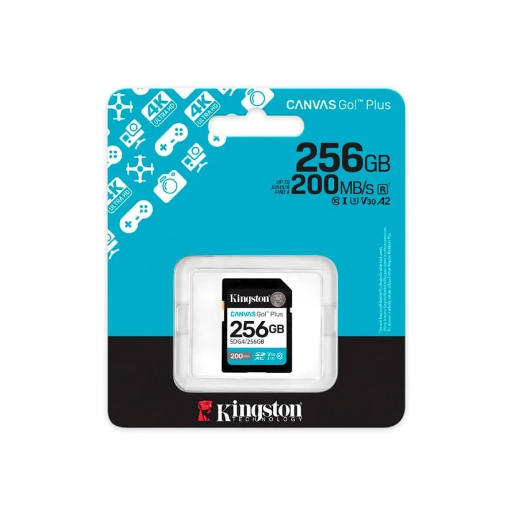 Cartão De Memória 256gb Kingston Canvas Go Plus - SDG4/256GB