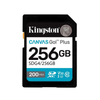 Cartão De Memória 256gb Kingston Canvas Go Plus - SDG4/256GB