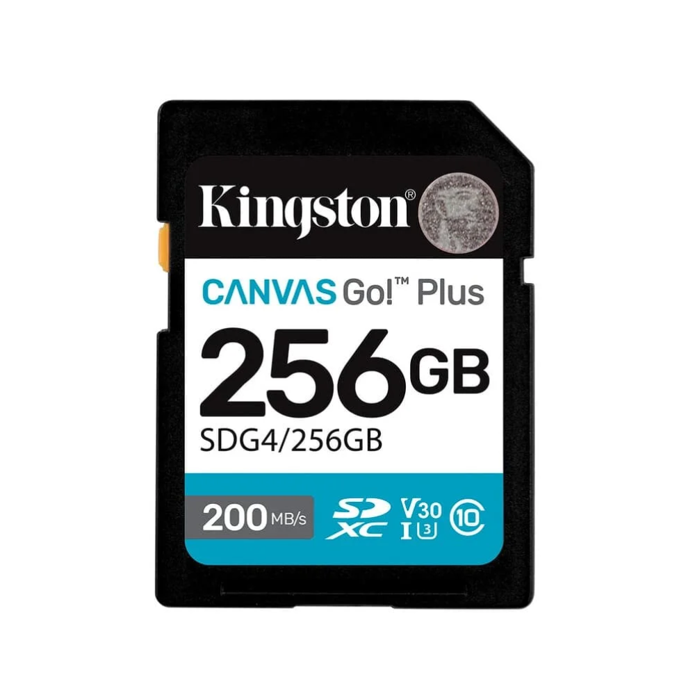 Cartão De Memória 256gb Kingston Canvas Go Plus - SDG4/256GB