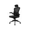 Cadeira Ergonômica Fortrek Ergo Preta C/ Apoio de Lombar - 85032