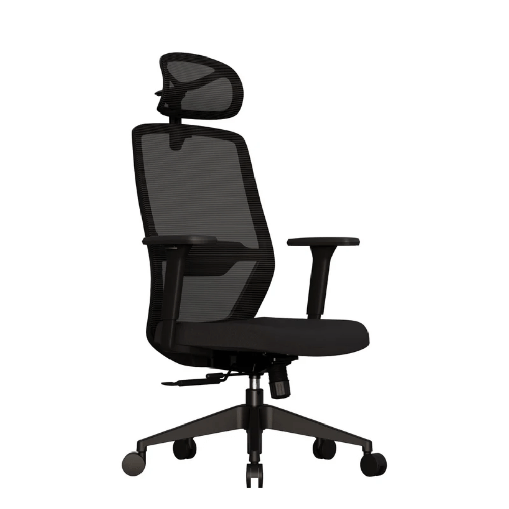 Cadeira Ergonômica Elements Serena – Preta