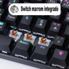Teclado Gamer Mecanico Evolut USB RGB Anti Ghost - Eg275
