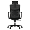 Cadeira Ergonômica Elements Vertta – Preta