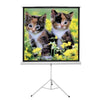 Tela De Projecao Tripe 100" Pols Sumay 1,8m x 1,8m - TTQS100