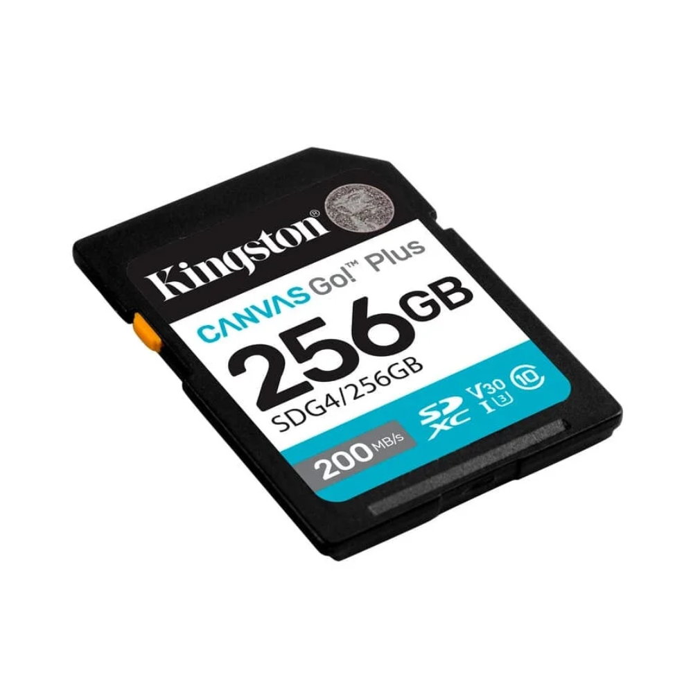 Cartão De Memória 256gb Kingston Canvas Go Plus - SDG4/256GB