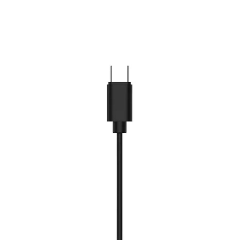 Fone De Ouvido Intra-Auricular Com Fio Tipo C Philips Preto - TAE2146BK