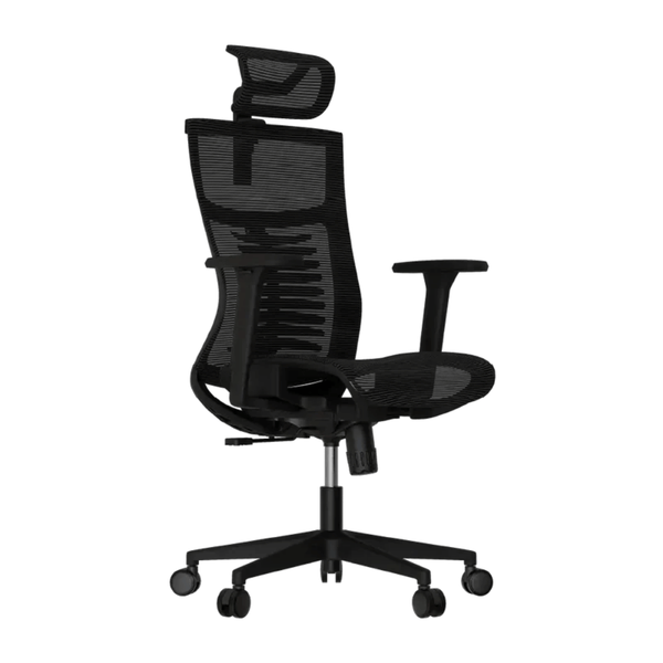 Cadeira Ergonômica Elements Vertta Pro – Preta