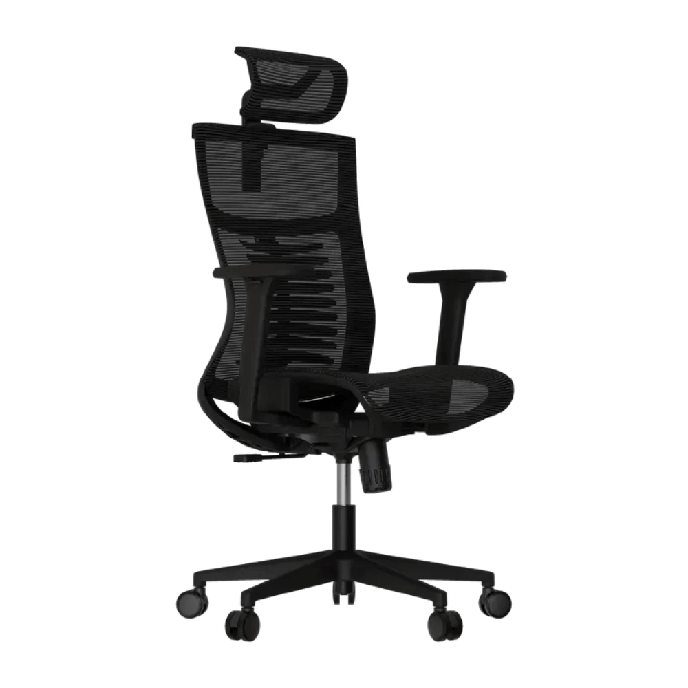 Cadeira Ergonômica Elements Vertta Pro – Preta