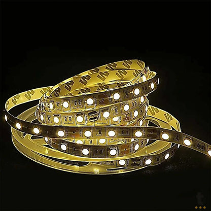 Fita Led Branca Leon GTS Warm White DC 12V 5m - 5050-BQ Truedata
