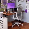 Cadeira Ergonômica Elements Serena – Cinza