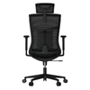 Cadeira Ergonômica Elements Vertta Pro – Preta