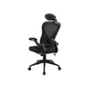 Cadeira Ergonômica Fortrek Ergo Preta C/ Apoio de Lombar - 85032